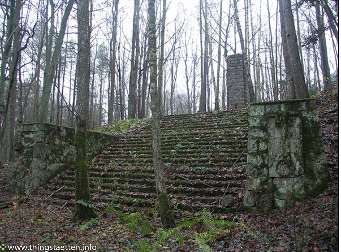 Overgrown steps to the National Socialist open-air stage – cultural history